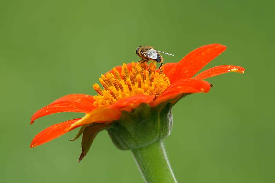 20.000 besondere neue Mitarbeiterinnen