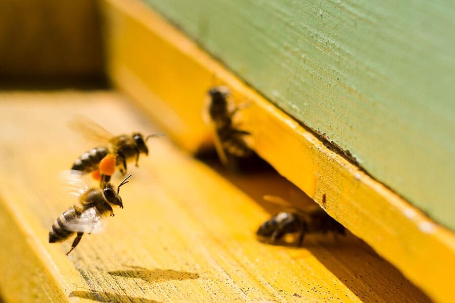 Schwammtuchmethode - schon geh&ouml;rt, oder?!
