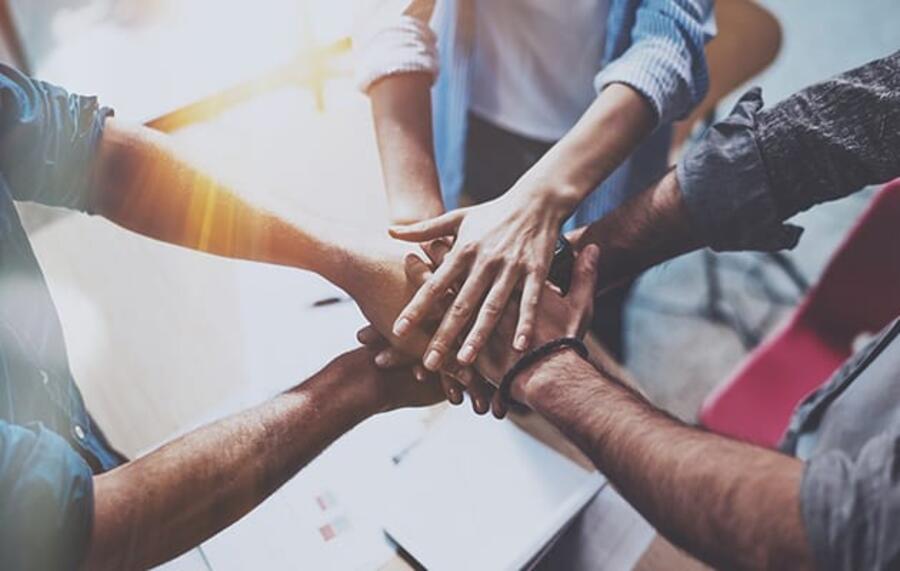 STAR spirit &ndash; our genetic code