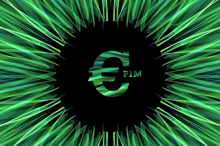 Wie hoch sind die Kosten f&uuml;r PIM? Eine hilfreiche &Uuml;bersicht!