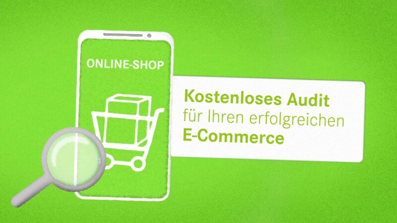 E-Commerce Audit
