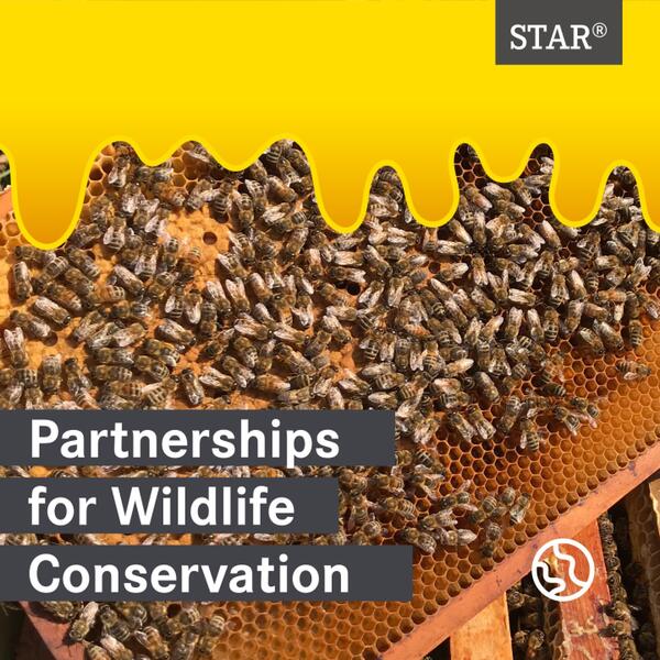 Dieses Jahr steht der Tag des Artenschutzes unter dem Motto ‘‘Partnerships…